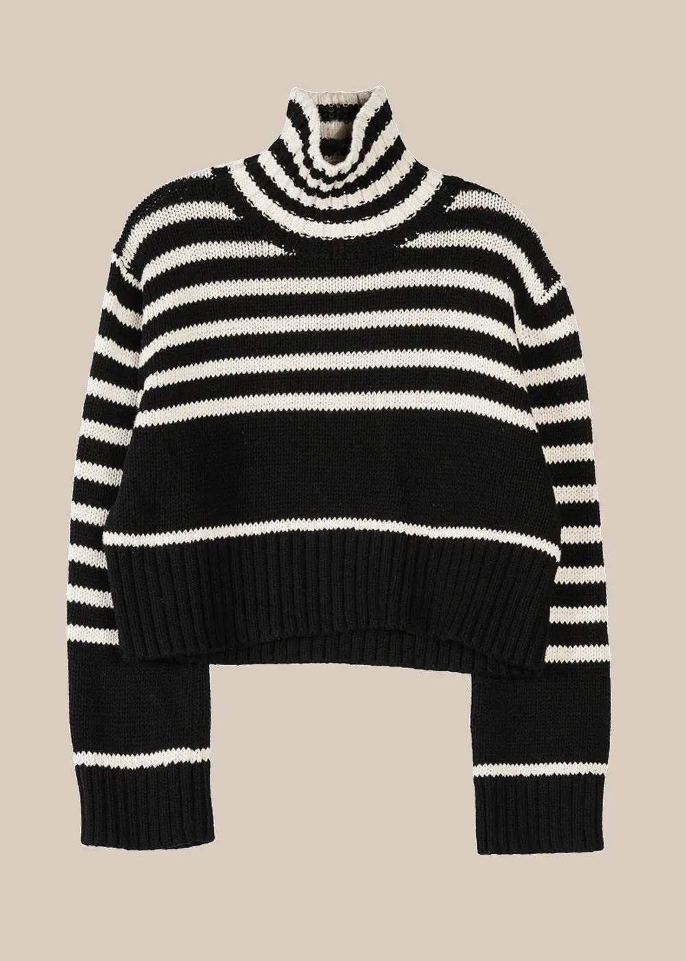 Striped Luigi Turtleneck Sweater